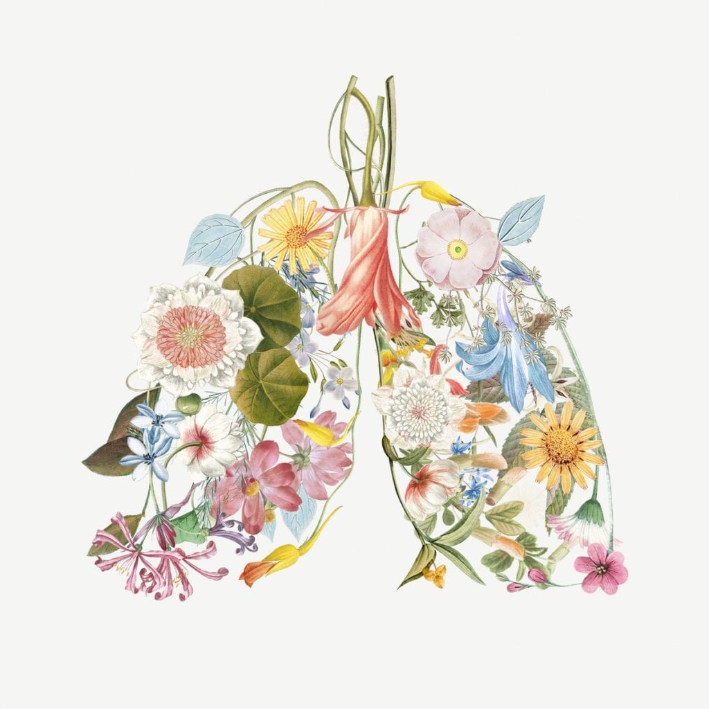 An illustration of lungs with flowers and leaves