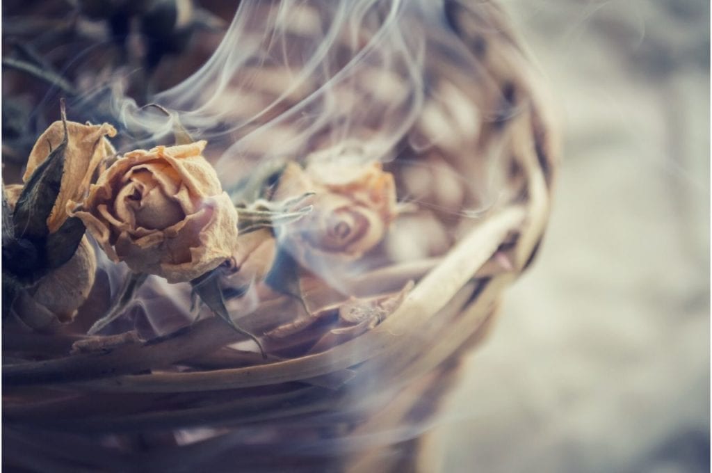 Smoke floats over rose buds and flowers.