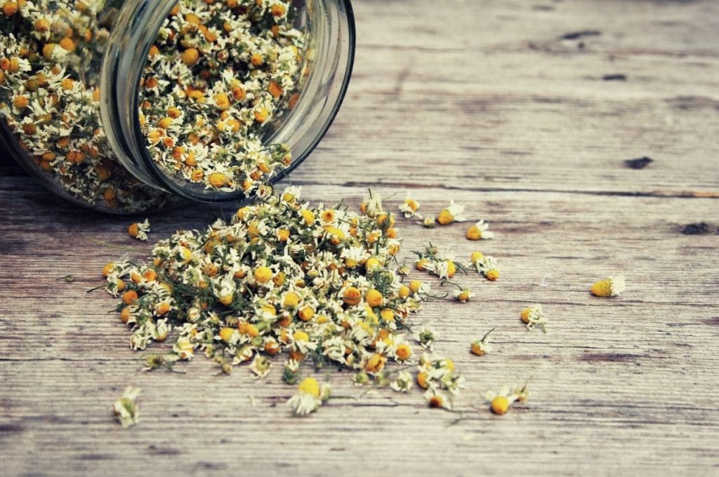 Chamomile buds fall out of a jar.