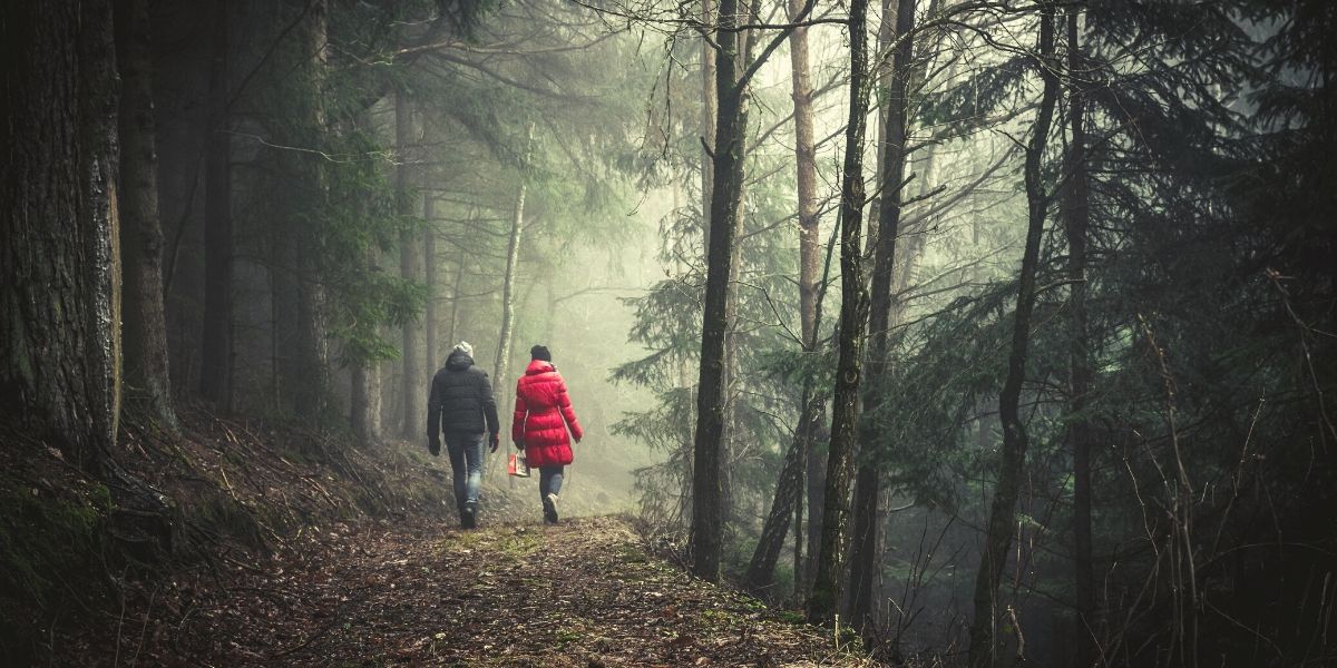 A couple enjoys forest bathing together