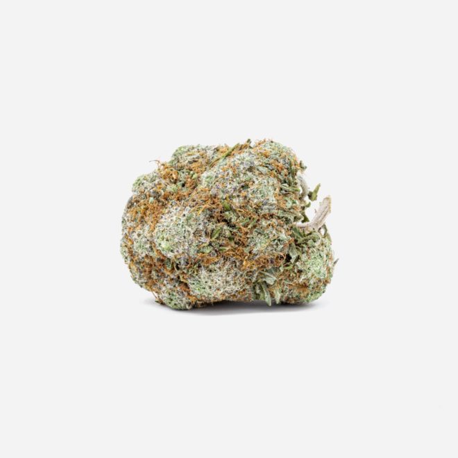 Green Crack Sativa Cannabis by Healing inc. for Energy | My Supply Co. | Consciously curated cannabis
