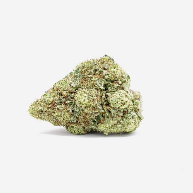 Sour Lemon Sativa by Healing inc. for Euphoria | My Supply Co. | Consciously curated cannabis