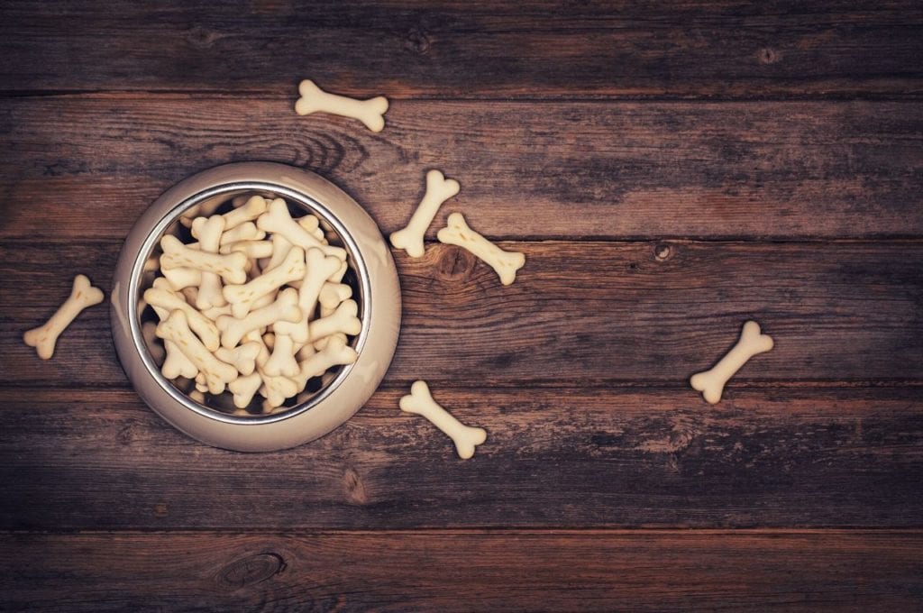 5 DIY CBD Isolate Products You Can Make At Home | Recipes | My Supply Co. A bowl filled with CBD-infused dog treats.