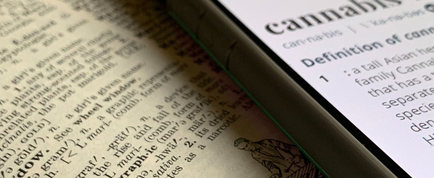 The cannabis dictionary definition is displayed on a mobile phone screen.