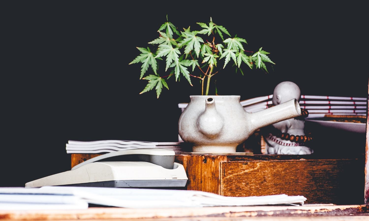 Cannabis placed decoratively on a desk among books.