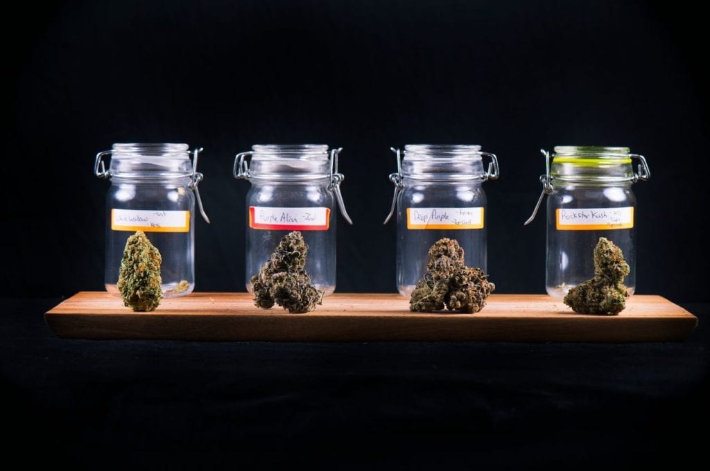 A display of cannabis strains in glass jars.