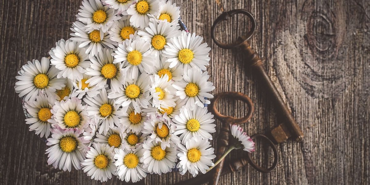 Gift flower arrangement of daisies and keys.