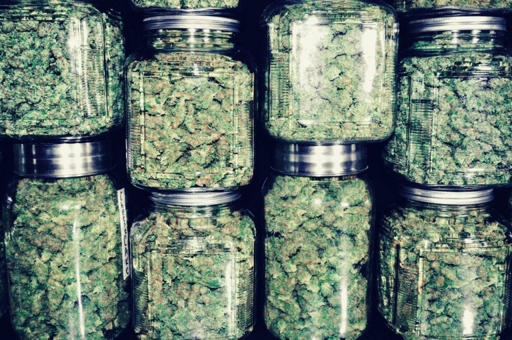 A cannabis display of jars containing dried cannabis flowers.