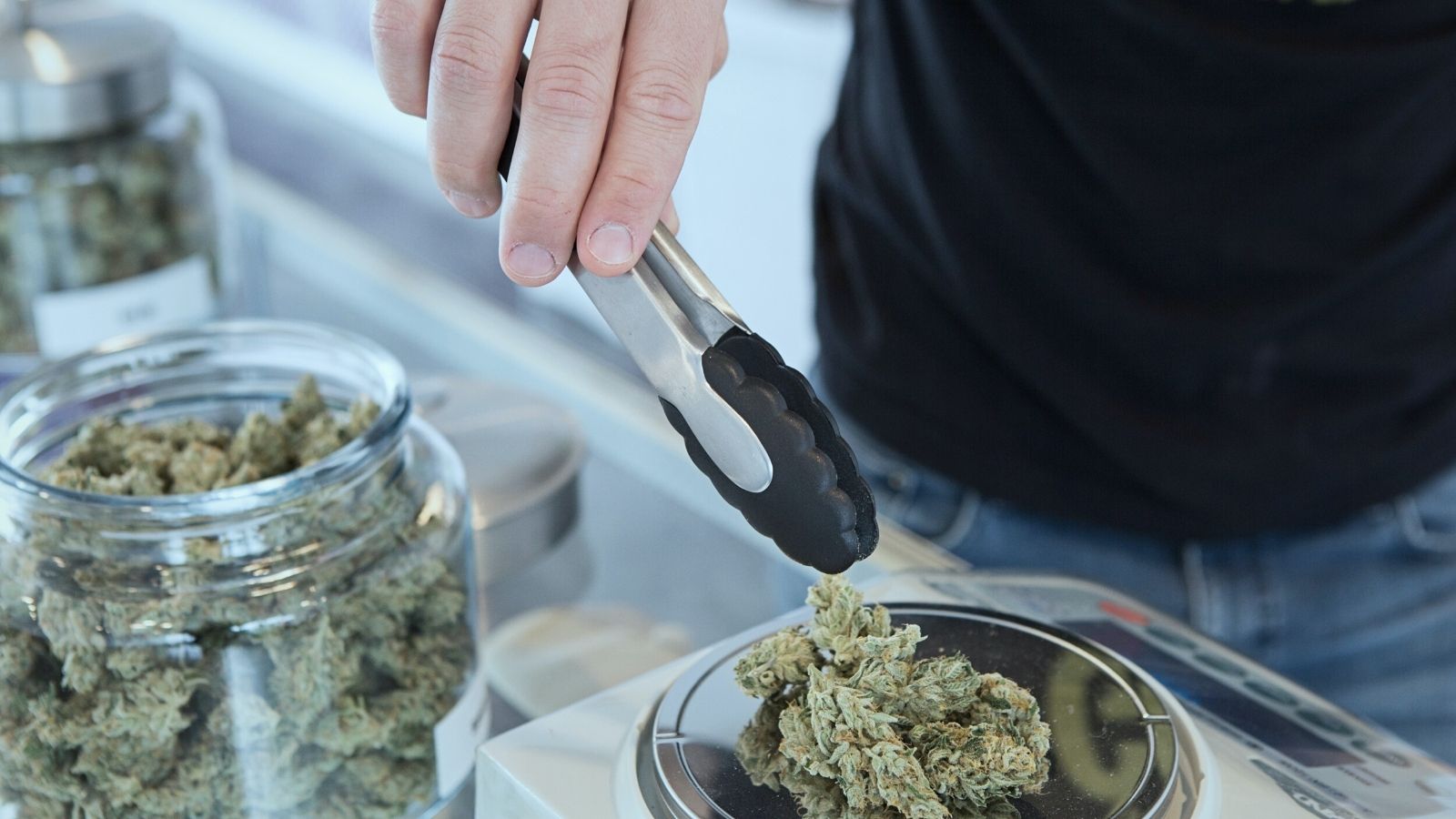 A man weighing cannabis on scales in a dispensary