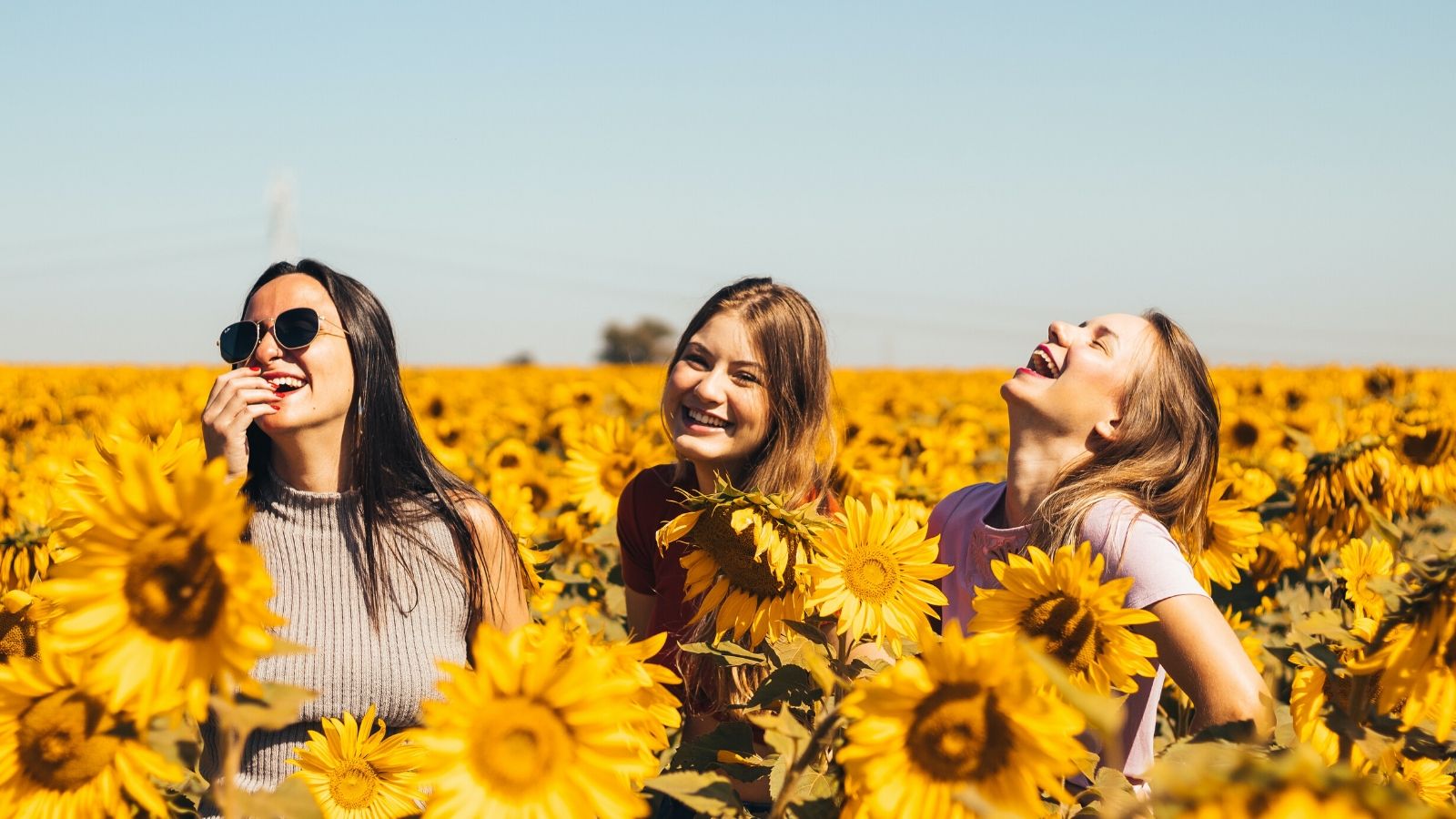 Three girls laugh while frolicking in a field of sunflowers.