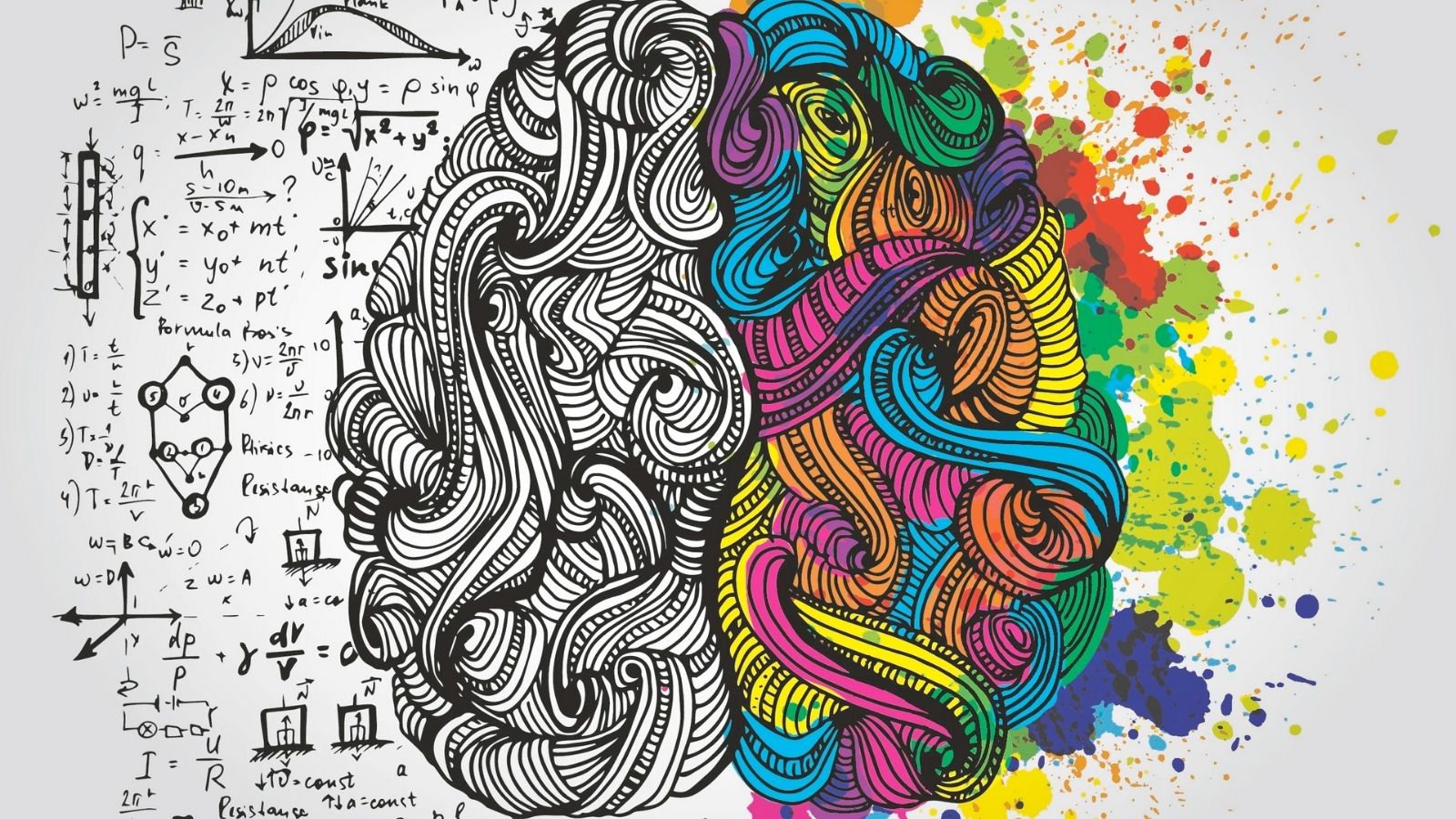 Colourful left brain, right brain, creativity concept