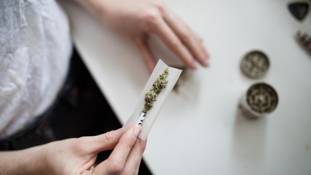 A woman rolling a cannabis joint on table with a grinder