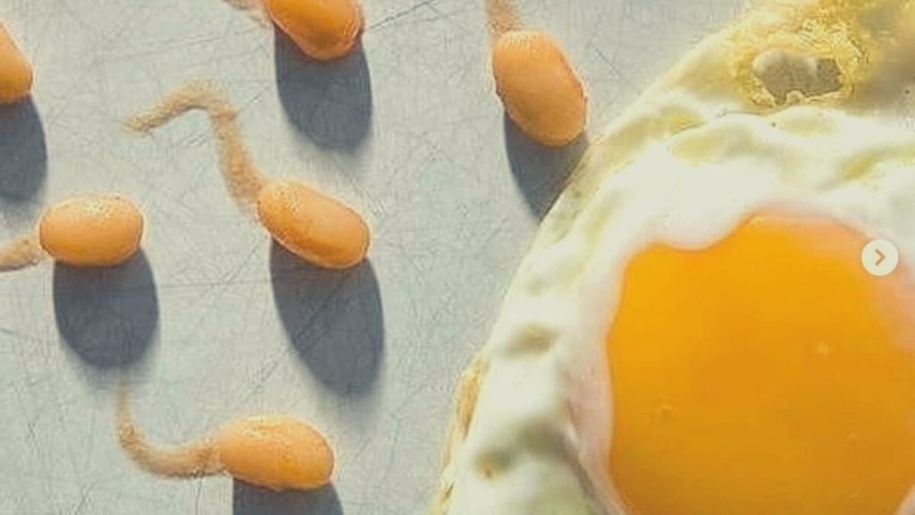 An egg and sperm concept image created with a fried egg and beans