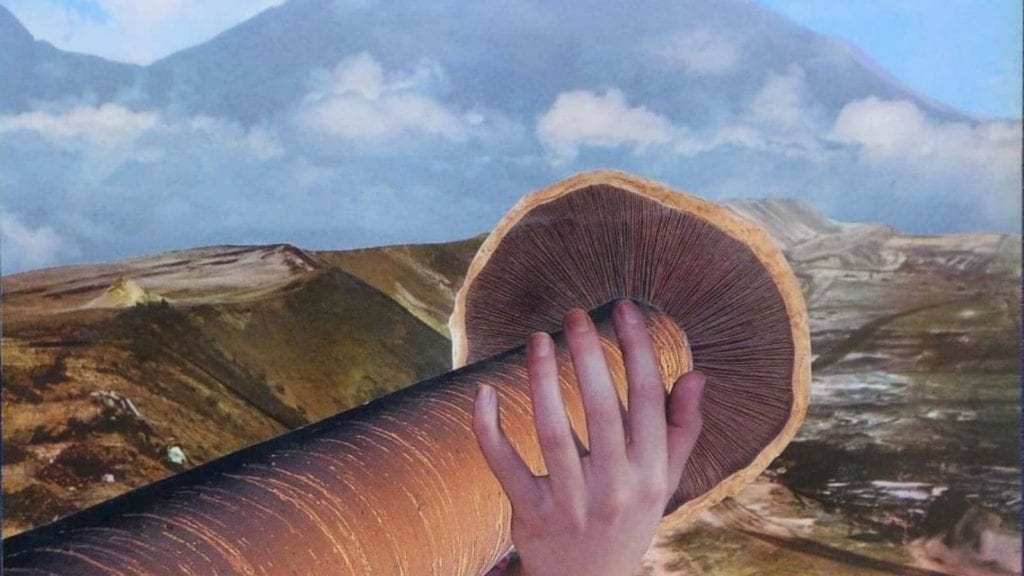 A hand holding a giant mushroom in the mountains, a collage art.
