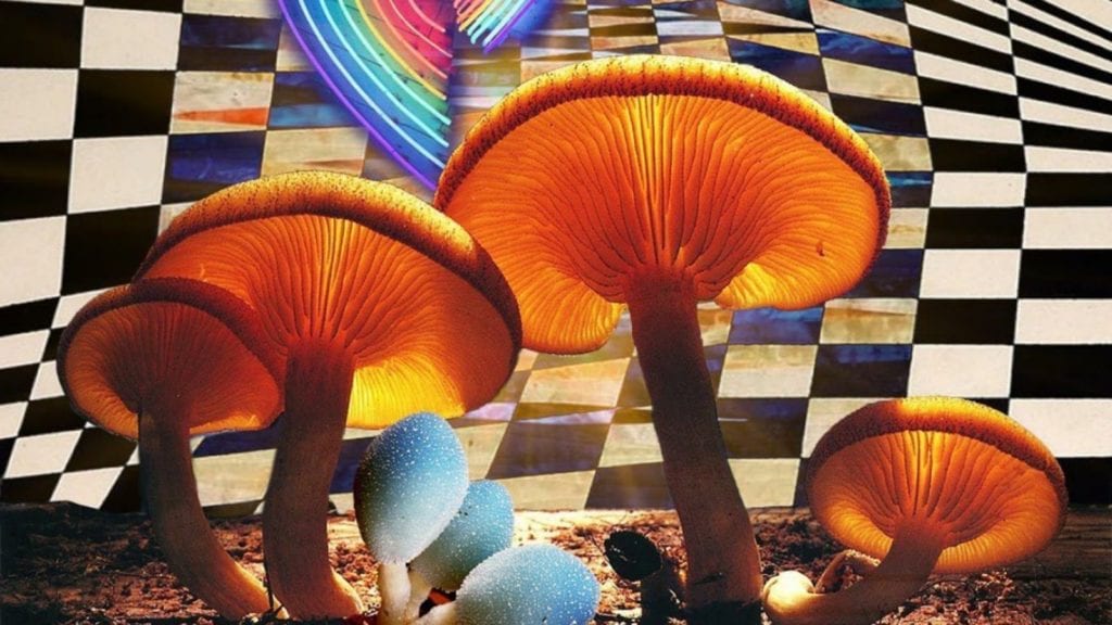 Magic mushrooms illuminated by a light, collage art.