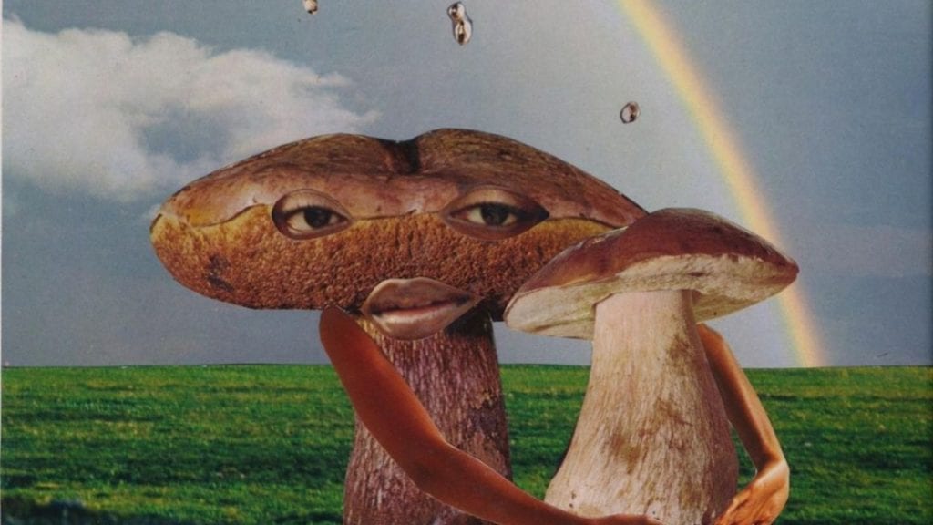 Two mushrooms hug under a rainbow
