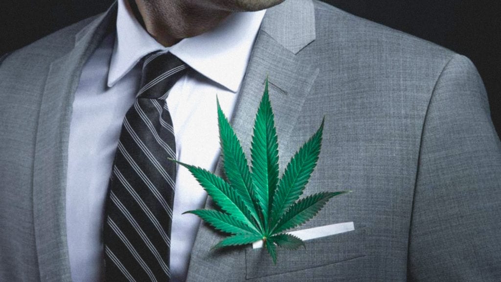 A man wearing a suit wears a weed leaf as a brooch on his pocket.