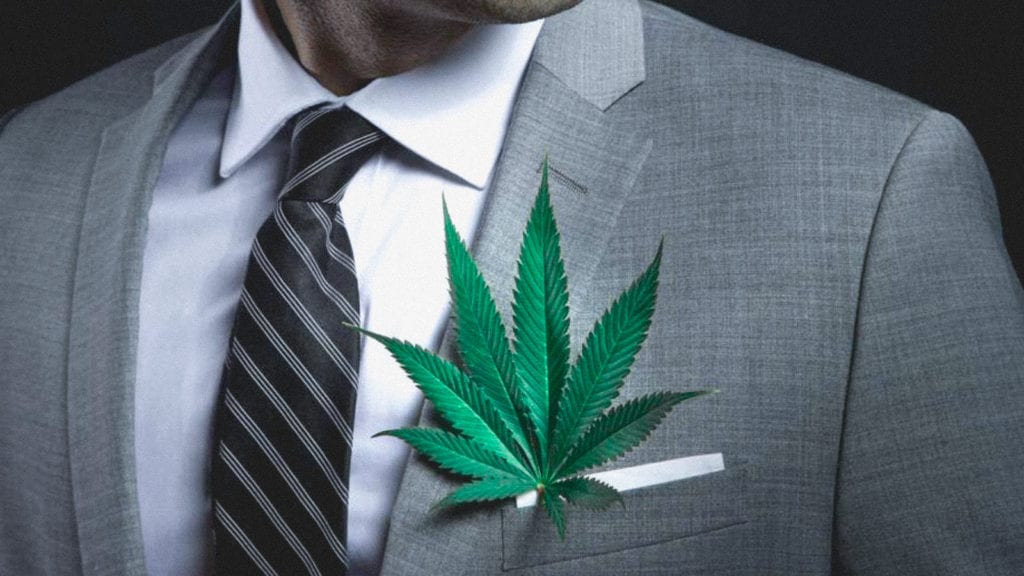 Cannabis Etiquette: How Private Should You Keep Your Weed Consumption? | Culture | My Supply Co. A man wearing a suit wears a weed leaf as a brooch on his pocket.