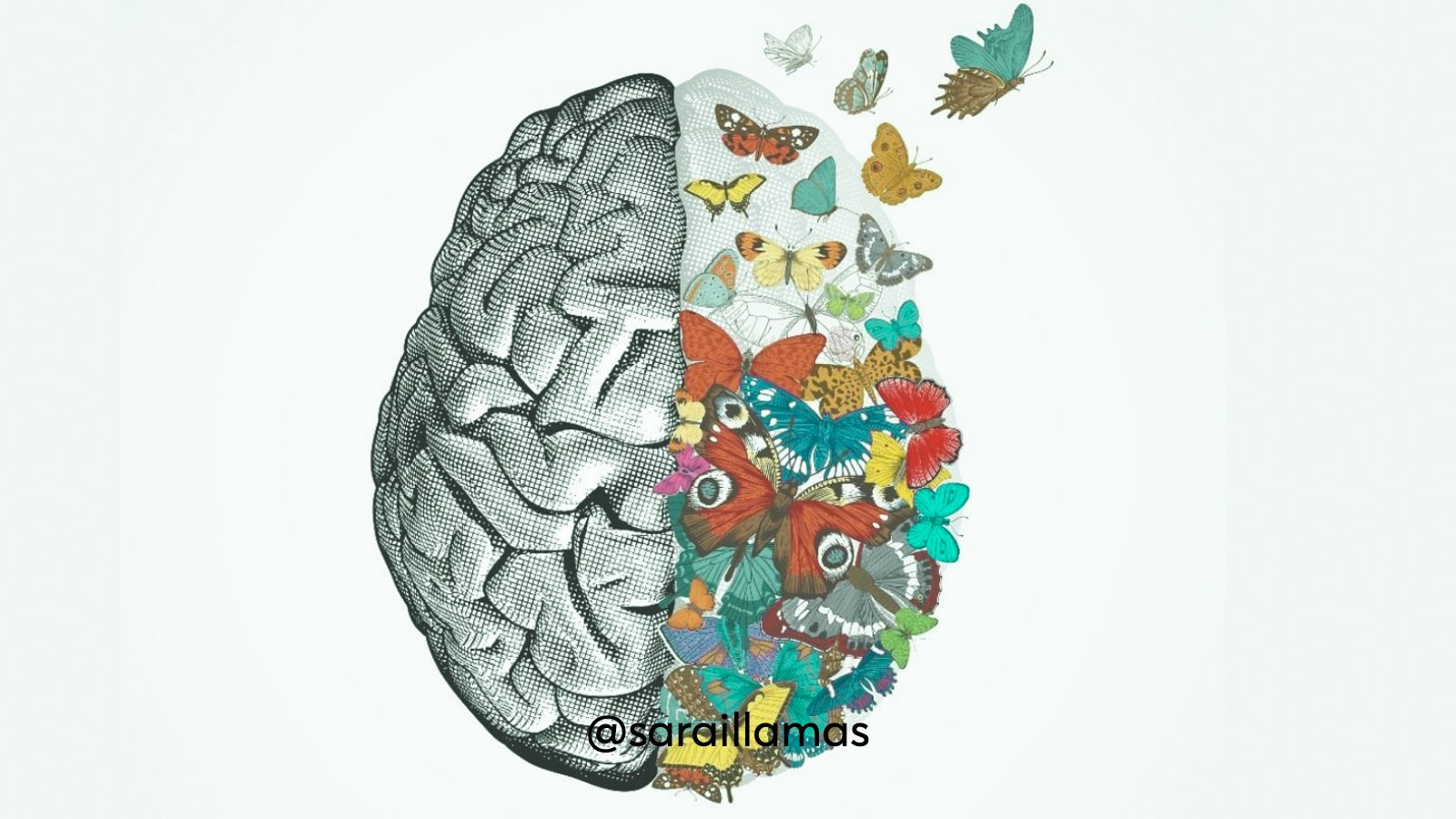 An illustration of a brain that is half made of butterflies