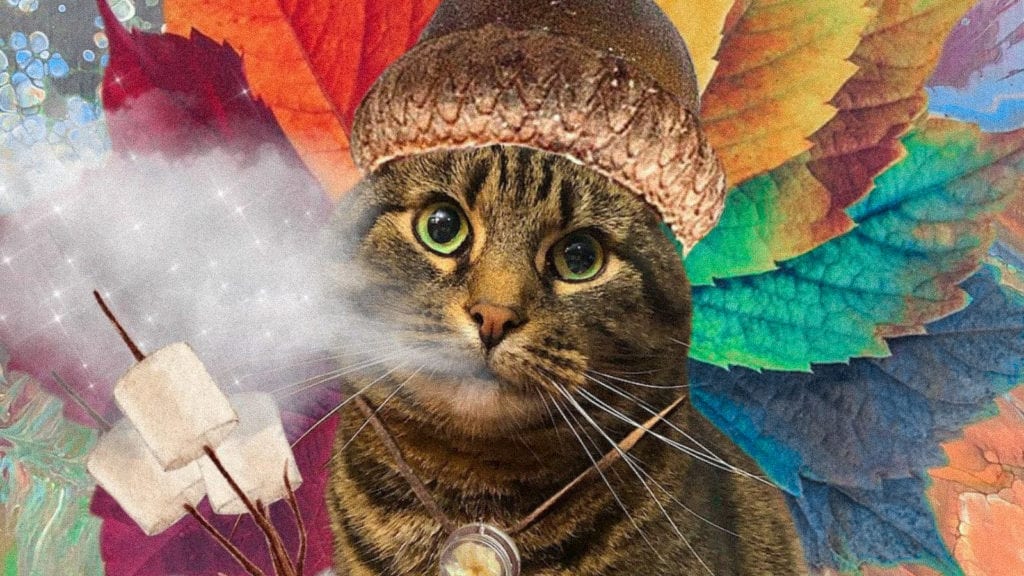 CBD For Pets 101 | Cannabis 101 | My Supply Co. CBD For Pets 101 | Cannabis 101 | My Supply Co.