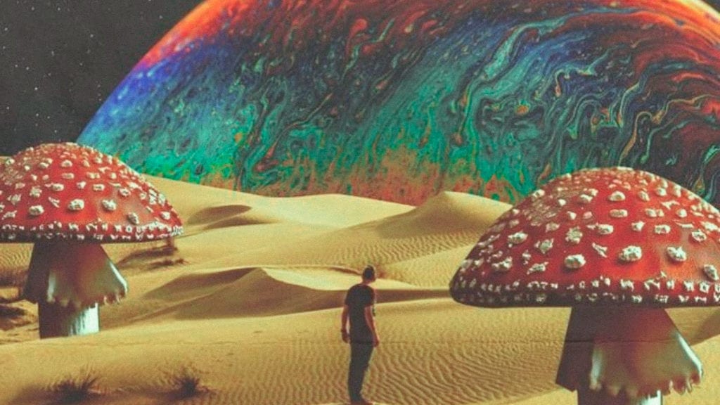 The Ultimate Guide to Magic Mushroom Microdosing | Magic Mushrooms 101 | My Supply Co. The Ultimate Guide to Magic Mushroom Microdosing | Magic Mushrooms 101 | My Supply Co.