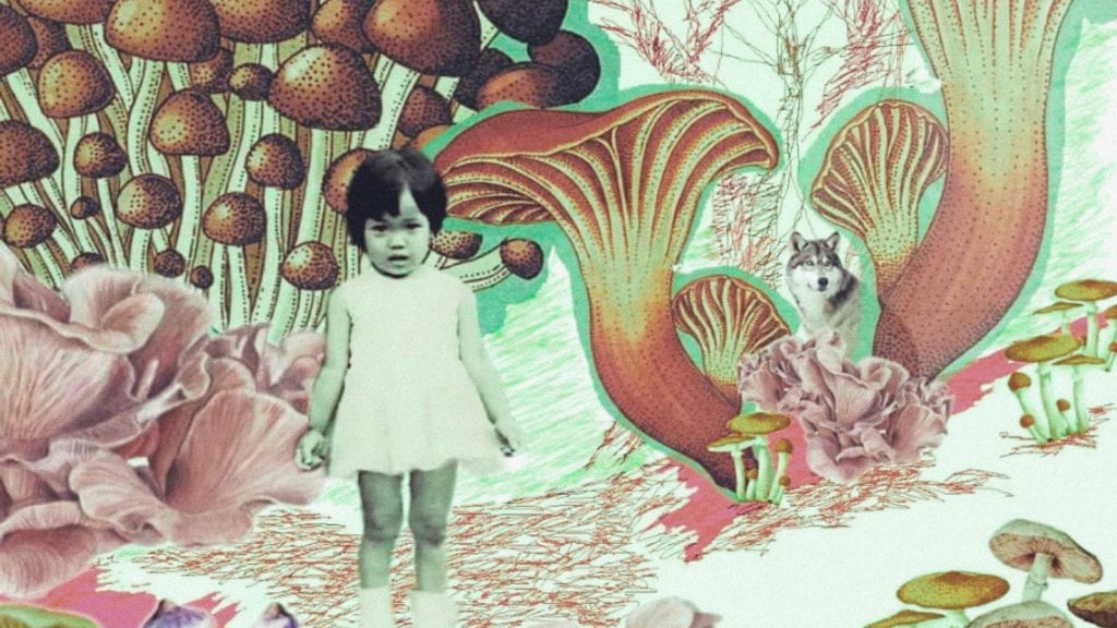 A collage art of a young child in a mushroom forest with a husky.