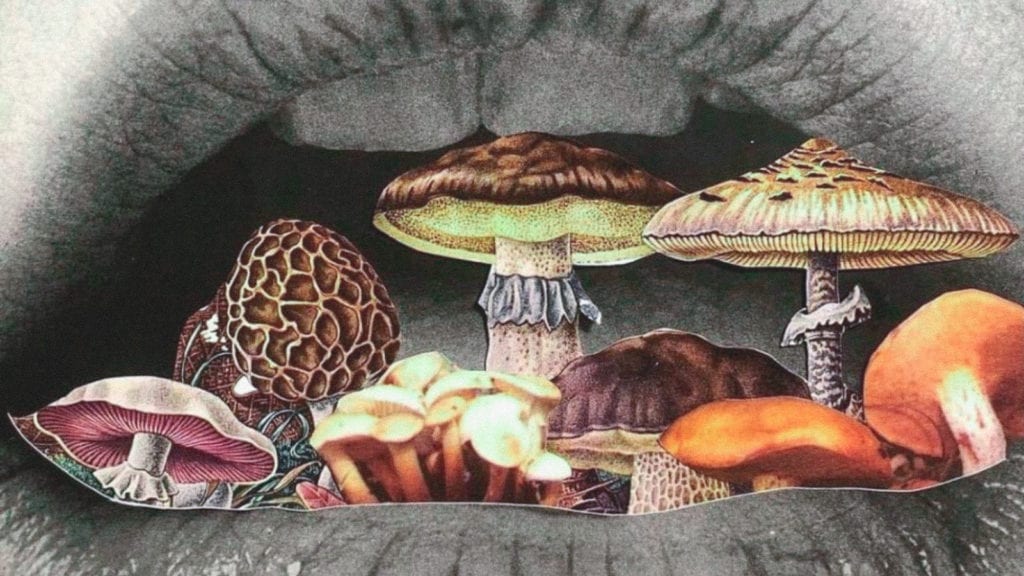 A collage art of magic psilocybin mushrooms in someone's mouth