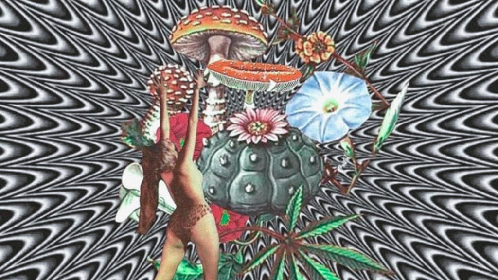 Psilocybin & PTSD: Revolutionising the Role of Psychedelics in Therapy | Wellness | My Supply Co. A collage art of a woman breaking through with psilocybin mushrooms, peyote, morning glory, and cannabis