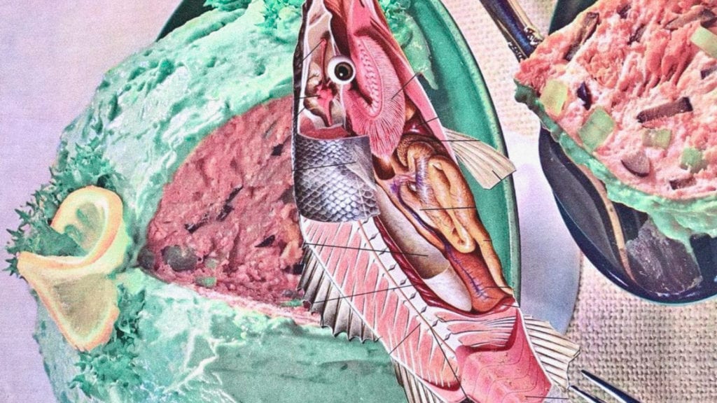 Be Kind to Yourself; How to Take Care in Winter & Isolating Times | Living | My Supply Co. A collage of a salmon and a cake to represent healthy eating.