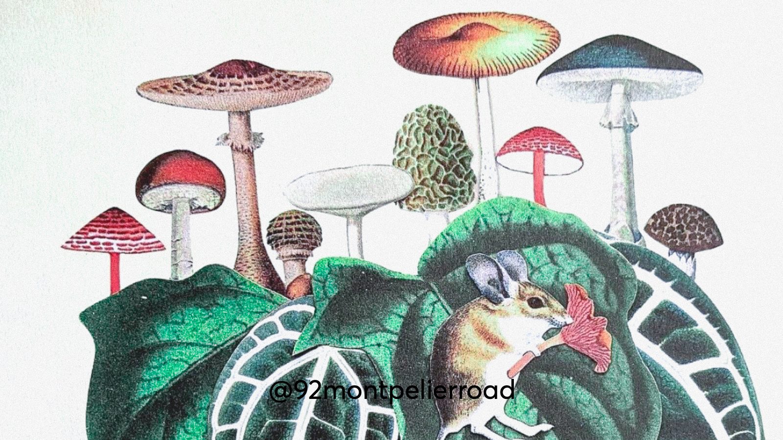 A magic mushroom collage art depicing a mouse on a leaf below magic mushrooms