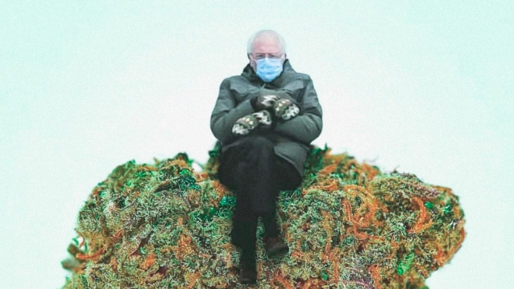 Cannabis as a Way to Prevent COVID-19? Researchers Think it’s Possible. | Wellness | My Supply Co. A collage art of bernie sanders sitting on a nugget of cannabis.