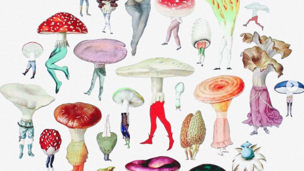 A collage of many kinds of mushrooms with human bodies.