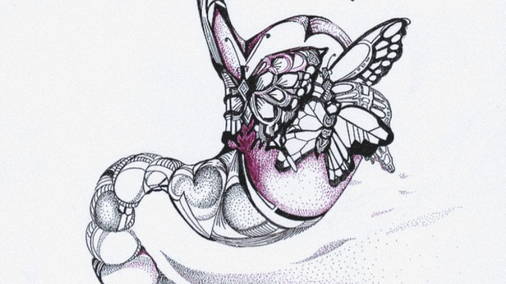 An illustration of a stomach surrounded by butterflies.