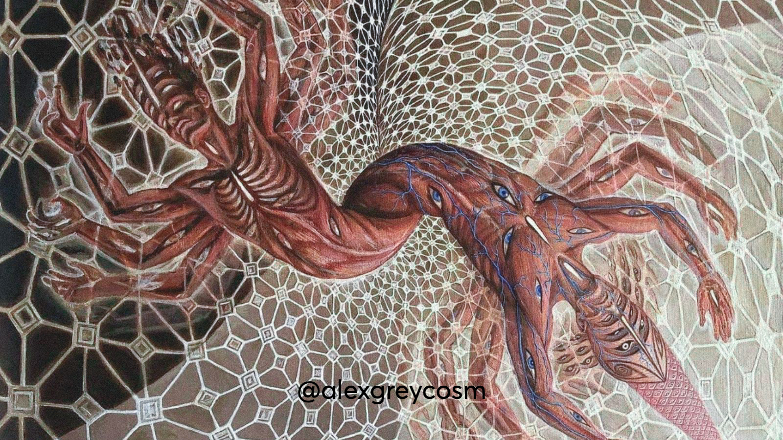 An artwork created by Alex Grey depicting the psychedelic experience.