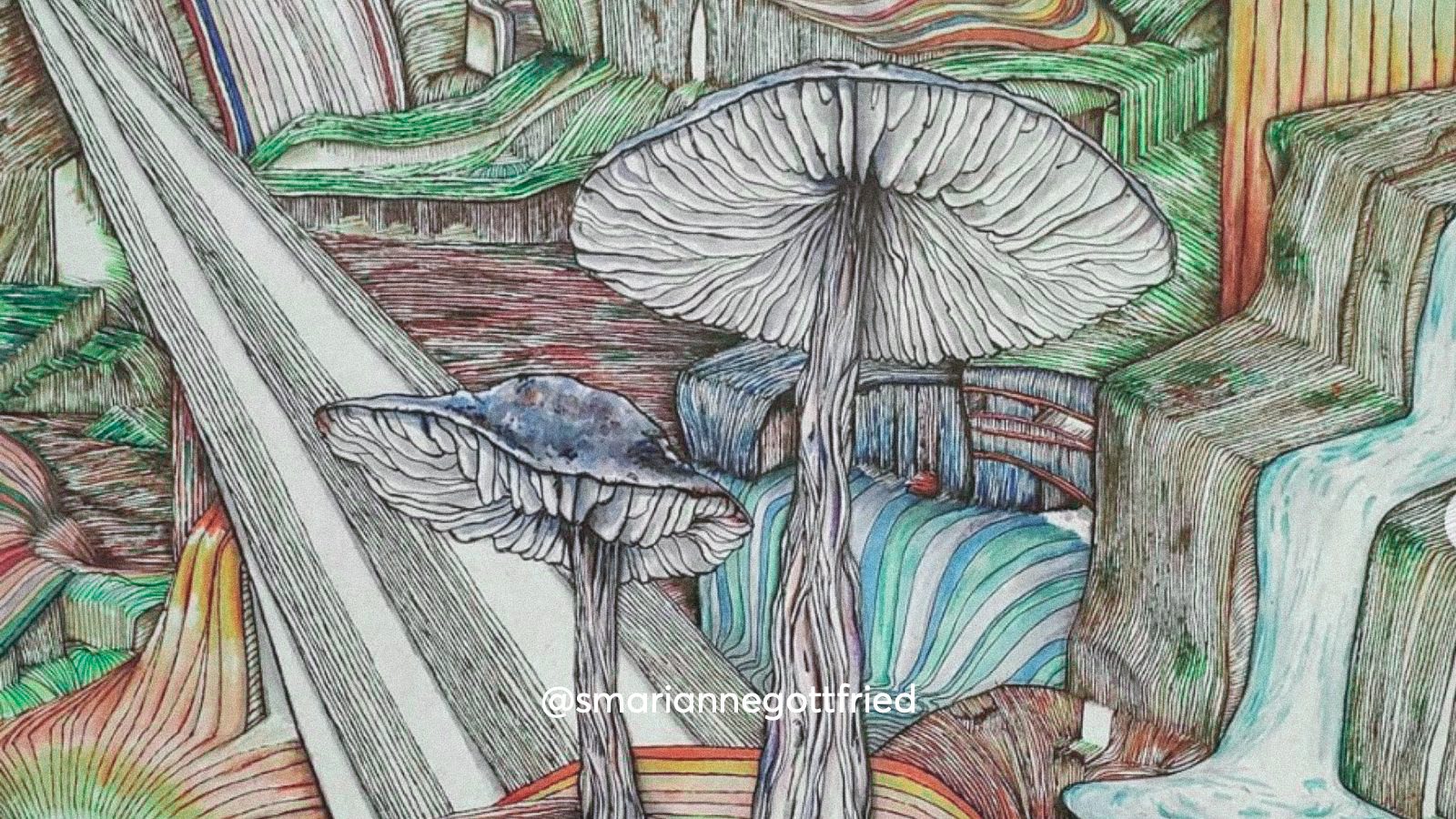 An illustration of a magic mushroom showing the glands and spores near a waterfall.