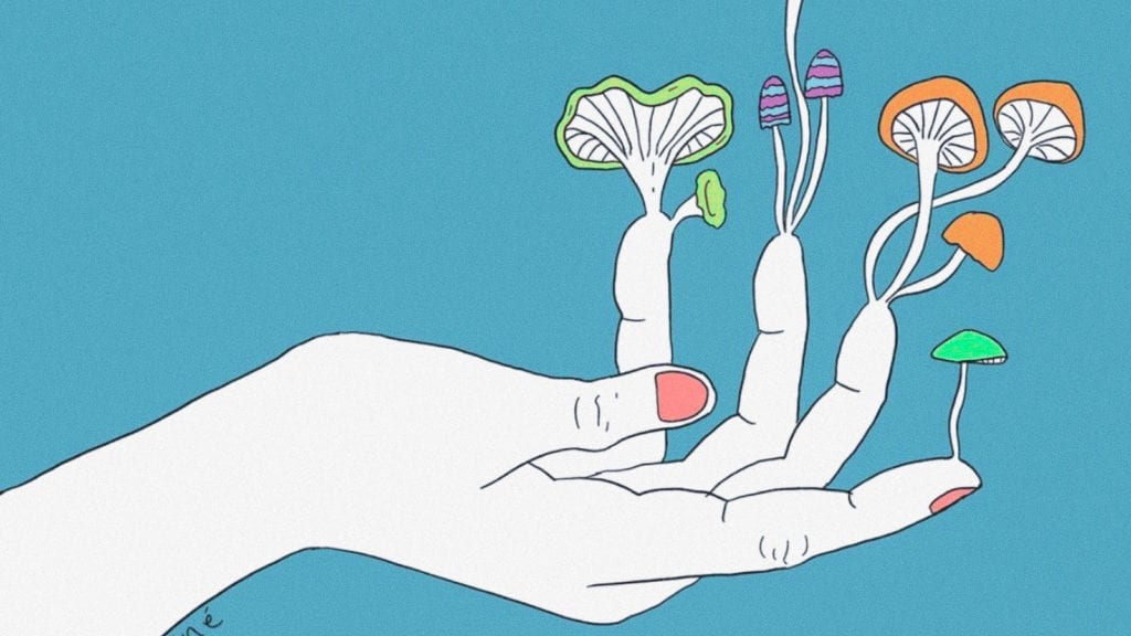Enhancing Psilocybin: MAOI’s & the Entourage Effect | Magic Mushrooms 101 | My Supply Co. An illustration of a hand where magic mushrooms are growing out of each finger.