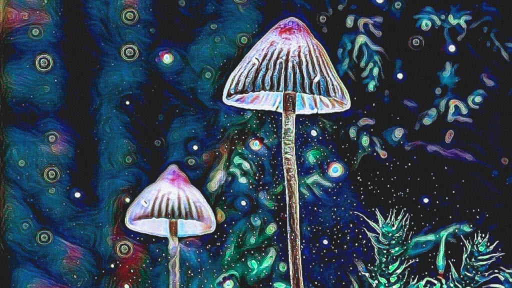 A digital artwork depicting two neon mushrooms and an abstract neon background.