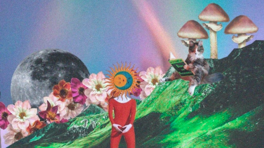 A collage art depicting a person near mountains with a cat and magic mushrooms.