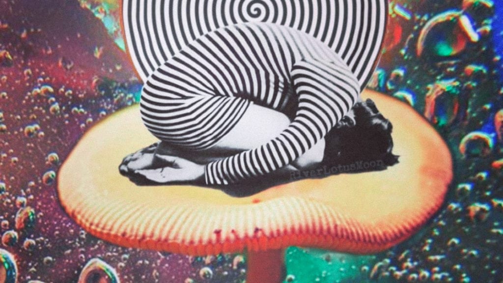 The Magic Mushroom Mystery of Wood Lover’s Paralysis | Magic Mushrooms 101 | My Supply Co. The Magic Mushroom Mystery of Wood Lover’s Paralysis | Magic Mushrooms 101 | My Supply Co.