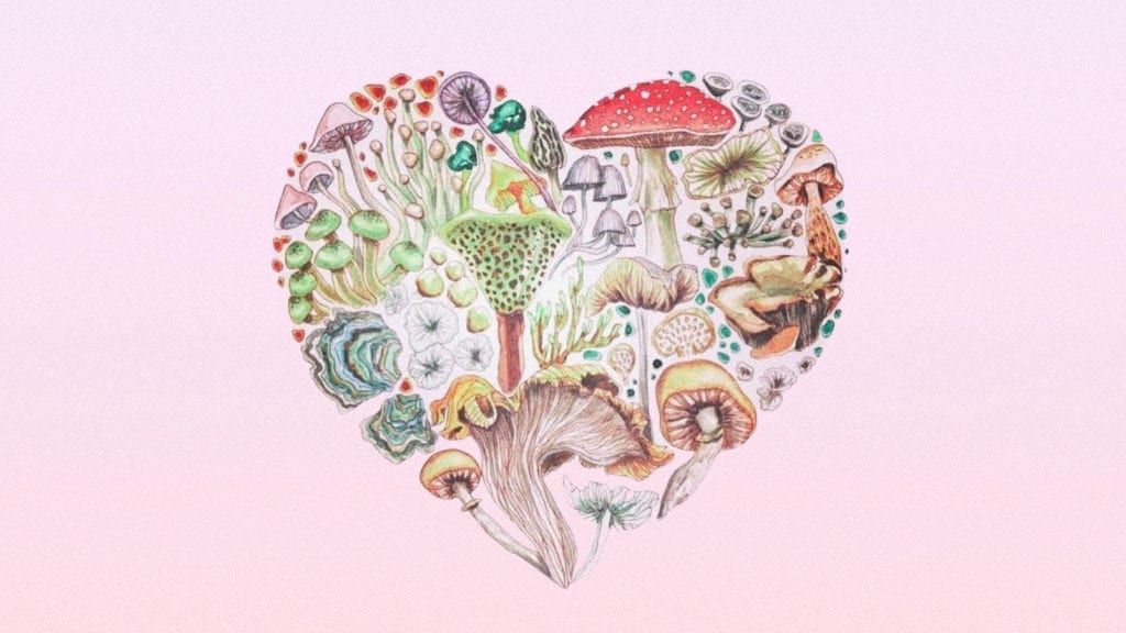 Is it Safe to Mix Magic Mushrooms With Antidepressants? | Magic Mushrooms 101 | My Supply Co. An illustration of a love heart made out of magic mushrooms