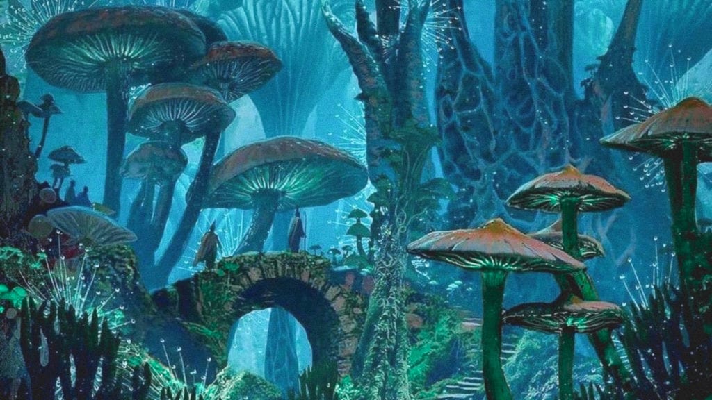 Everything You Need to Know About Smoking Cannabis While Tripping on Shrooms | Cannabis 101 | My Supply Co. Everything You Need to Know About Smoking Cannabis While Tripping on Shrooms | Cannabis 101 | My Supply Co.