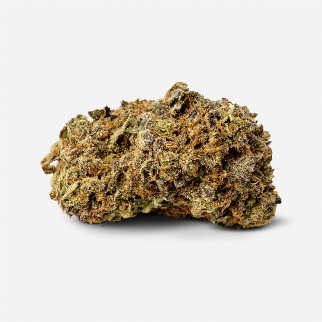 Blueberry Muffins Hybrid Cannabis Strain from Online Dispensary in Canada | My Supply Co.