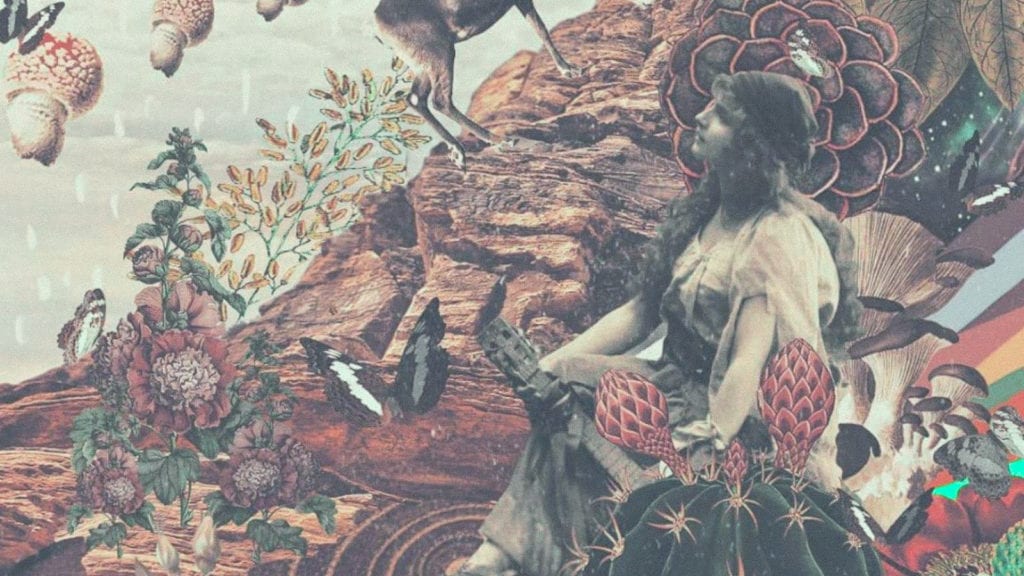 Why do Psilocybin and Cannabinoids Make us Feel High? | Cannabis 101 | My Supply Co. A collage art of a woman with psychedelic cacti and flowers, staring into the sky.