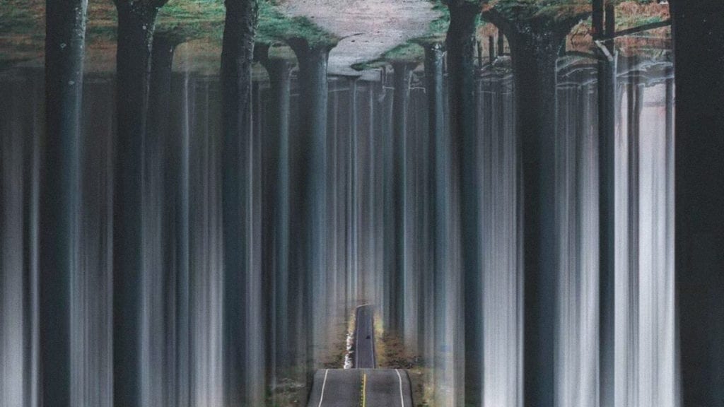 Digital artwork using perspective of trees and road to create the effect there is no sky for an article on post-psychedelic integration