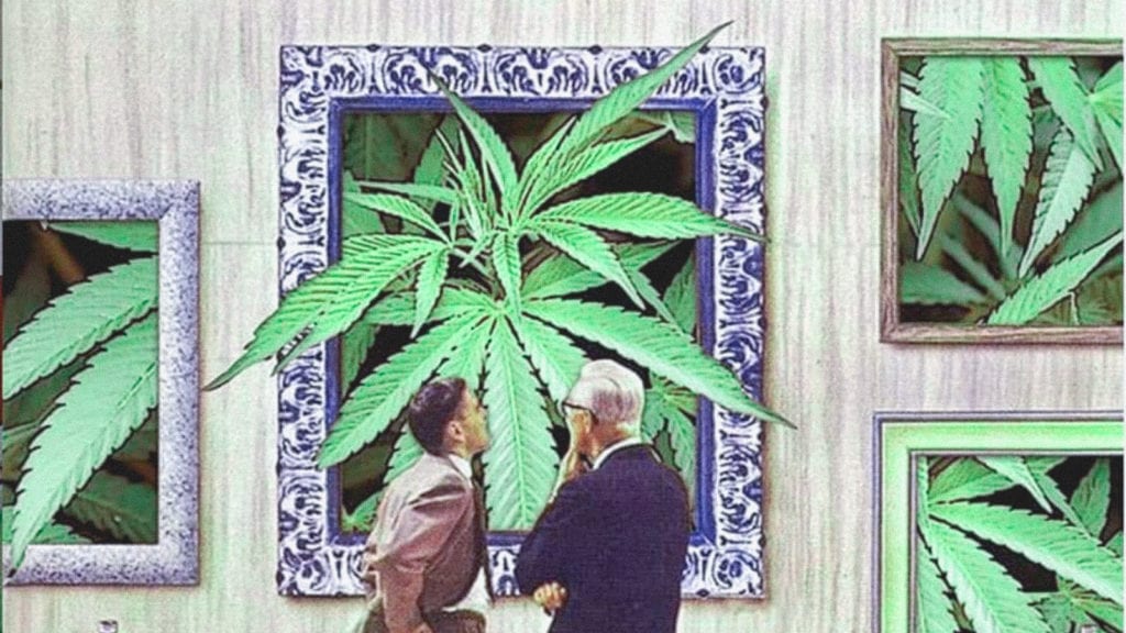 The Immunomodulatory Effects of CBD | Cannabis 101 | My Supply Co. A collage art of two people standing in a art gallery looking at massive paintings of cannabis.