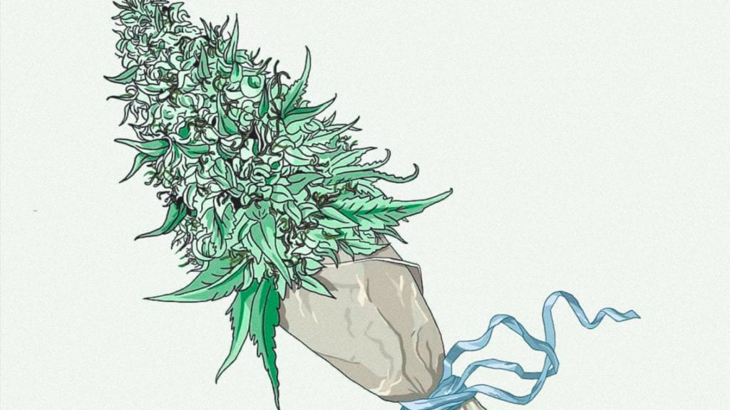 An illustration of a cannabis flower in a bouquet, tied up with a ribbon.