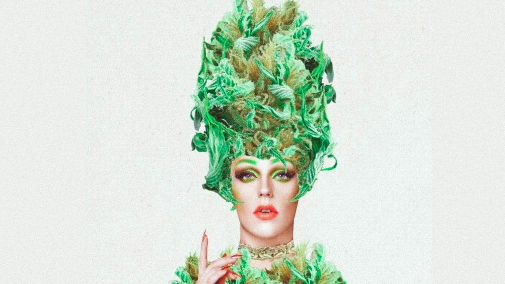 A collage art of a woman wearing cannabis clothes and a cannabis hat and pointing her finger towards the sky.