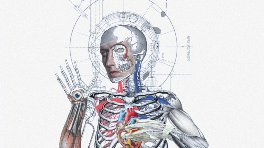 The Immunomodulatory Effects of THC | Wellness | My Supply Co. A digital anatomical artwork depicting a human head, hand, thoracic cavity, and heart.