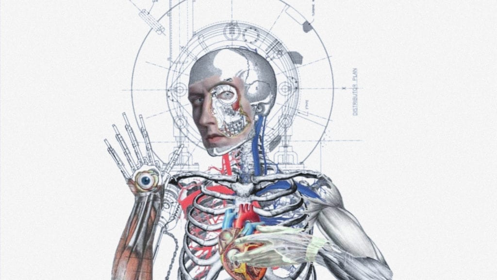 A digital anatomical artwork depicting a human head, hand, thoracic cavity, and heart.