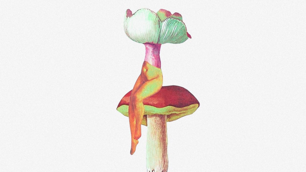 A collage art of a woman's body sitting on a mushroom toadstool.